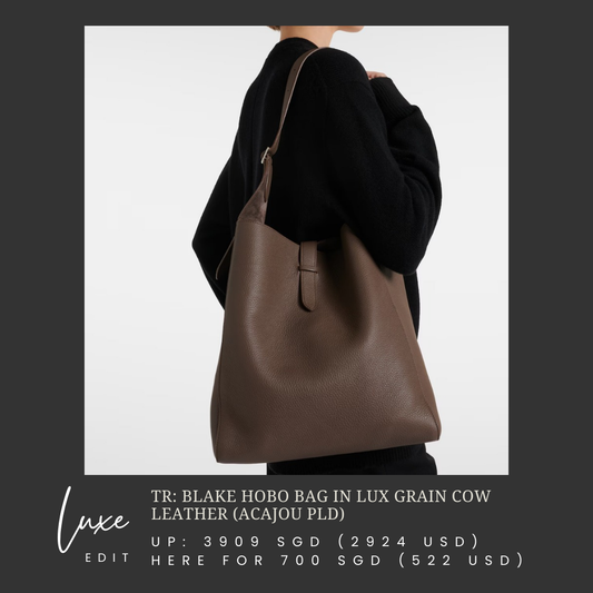 TR: Blake hobo bag in Acajou lux grain cow leather